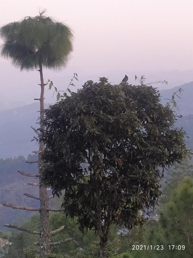 Mangalmurti Himalyan Homestay Hawalbagh 外观 照片